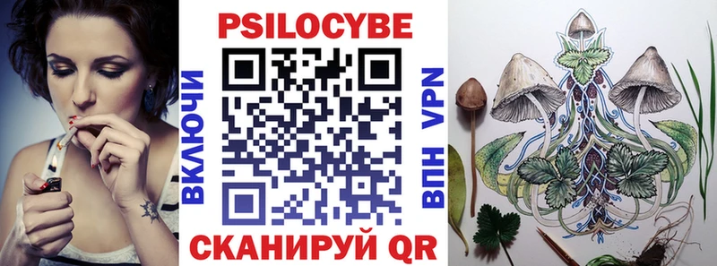 Галлюциногенные грибы Psilocybine cubensis ссылка на мегу tor Северская купить наркотики цена