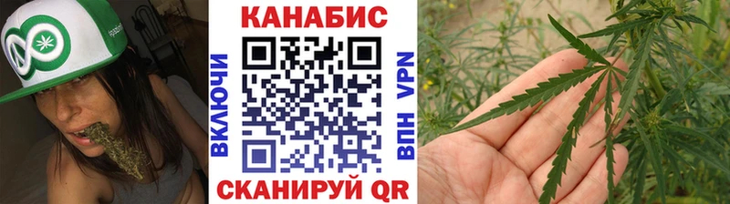 Бошки Шишки VHQ  закладки  Северская 